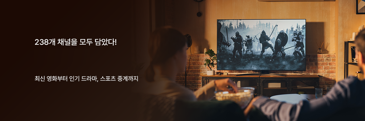 238ä�� �ȳ�