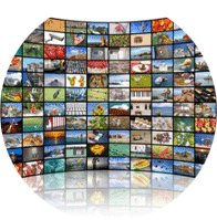 VOD ÄÜÅÙÃ÷ À̹ÌÁö